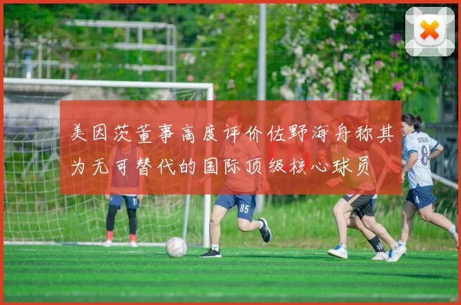 美因茨董事高度评价佐野海舟称其为无可替代的国际顶级核心球员